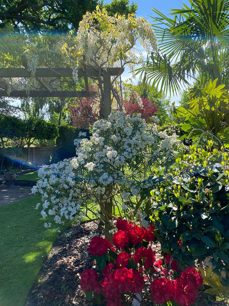 Planting of Shrubs and Bushes in London Garden Border