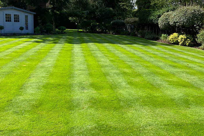 Lawn care and maintenance in Surrey