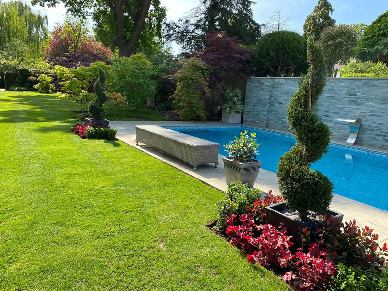perfect garden with planting around pool