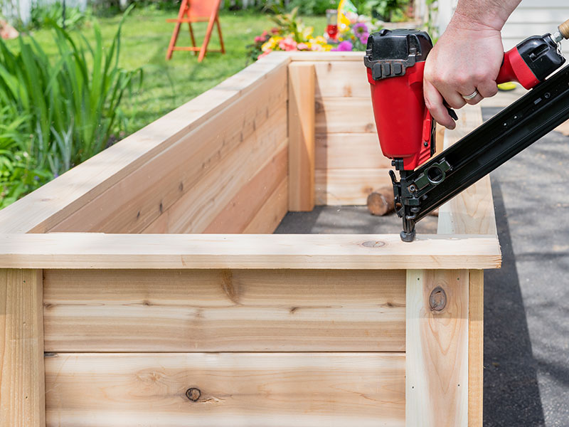 Building timber raised flower bed