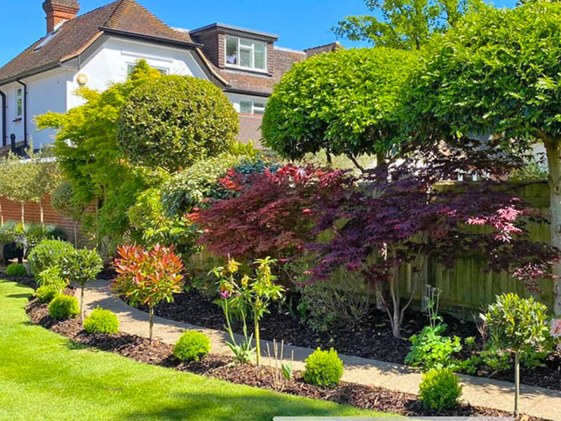 Beautifully designed garden borders