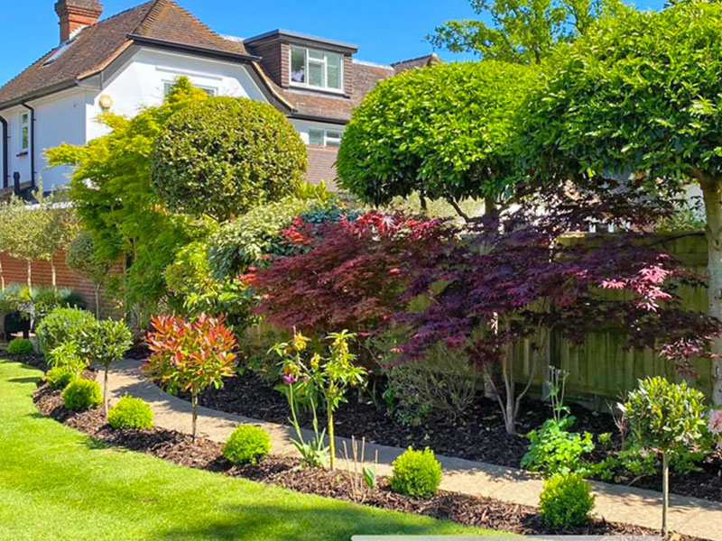 Beautifully designed garden borders in Esher