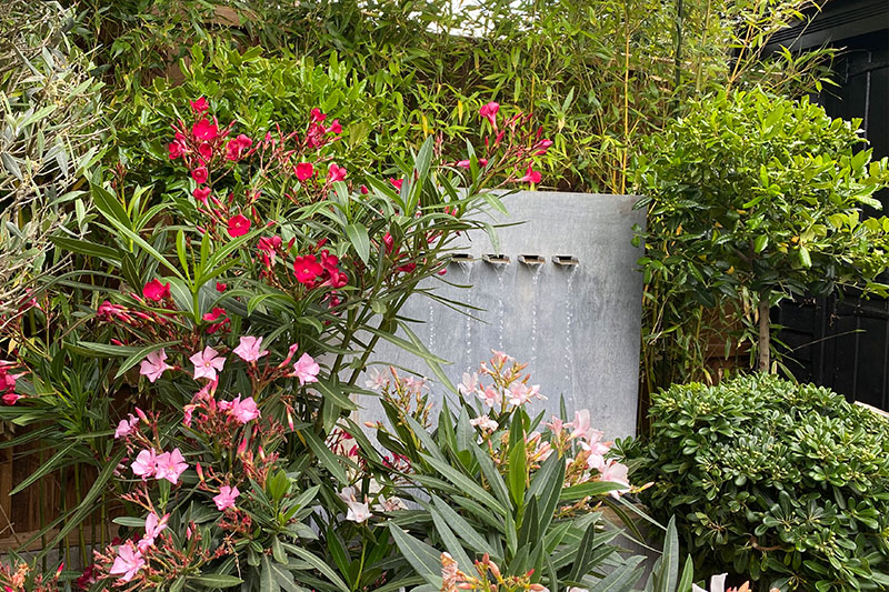 Weybridge garden design.jpg