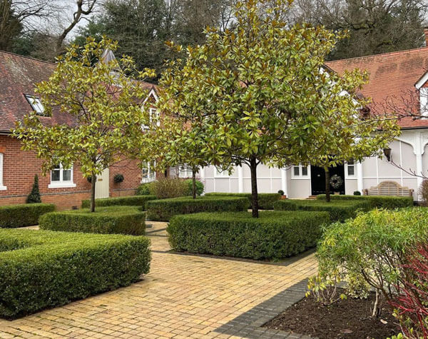 Trimmed box hedging in pristine condition, Windlesham garden landscaping