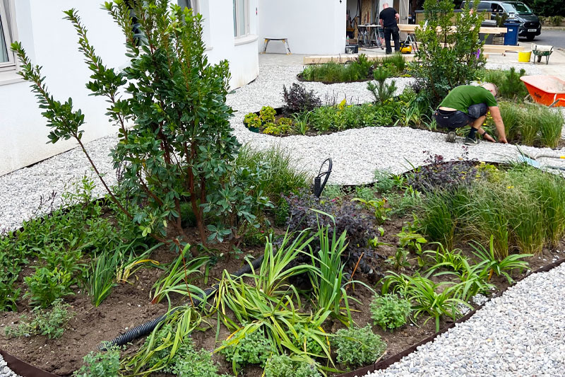 planting-services-in-esher.jpg
