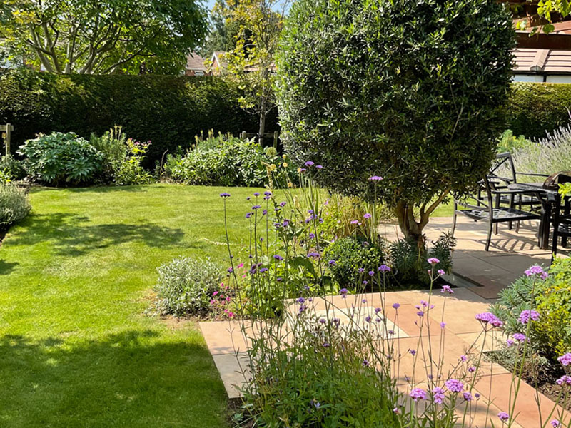 Professionally designed garden with patio in Esher