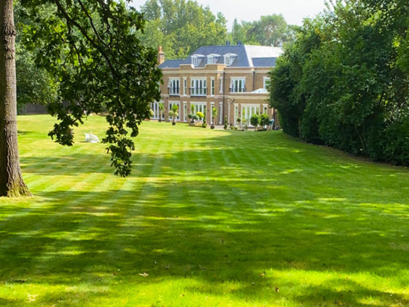 Turf laid for an immaculate lawn