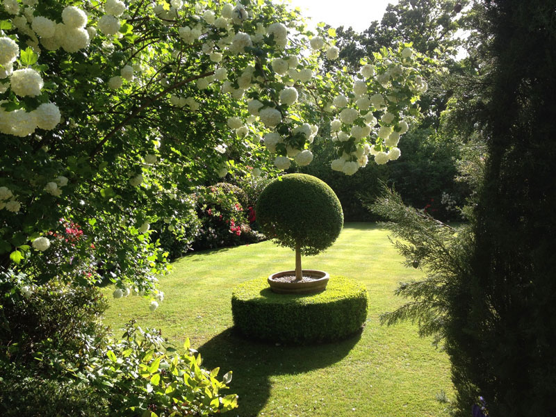 Garden Landscaping services with topiary