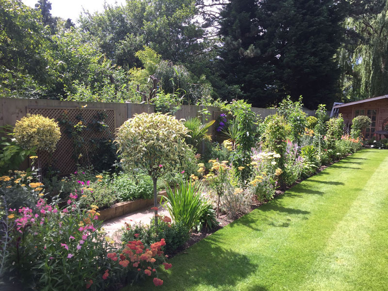 Garden border planted with colourful flowers