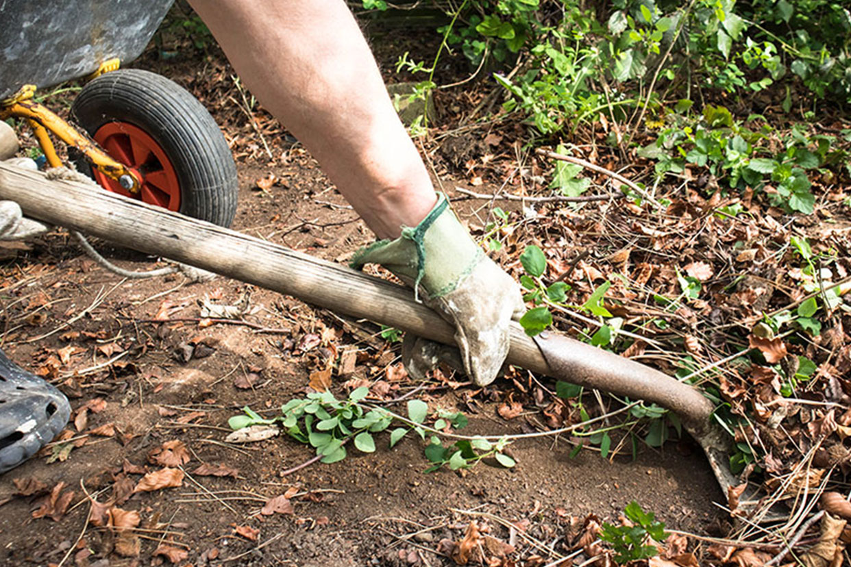 Our-garden-clearance-Service.jpg